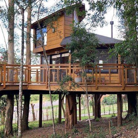 Casa na Árvore Morada dos Vagalumes Farroupilha Esterno foto