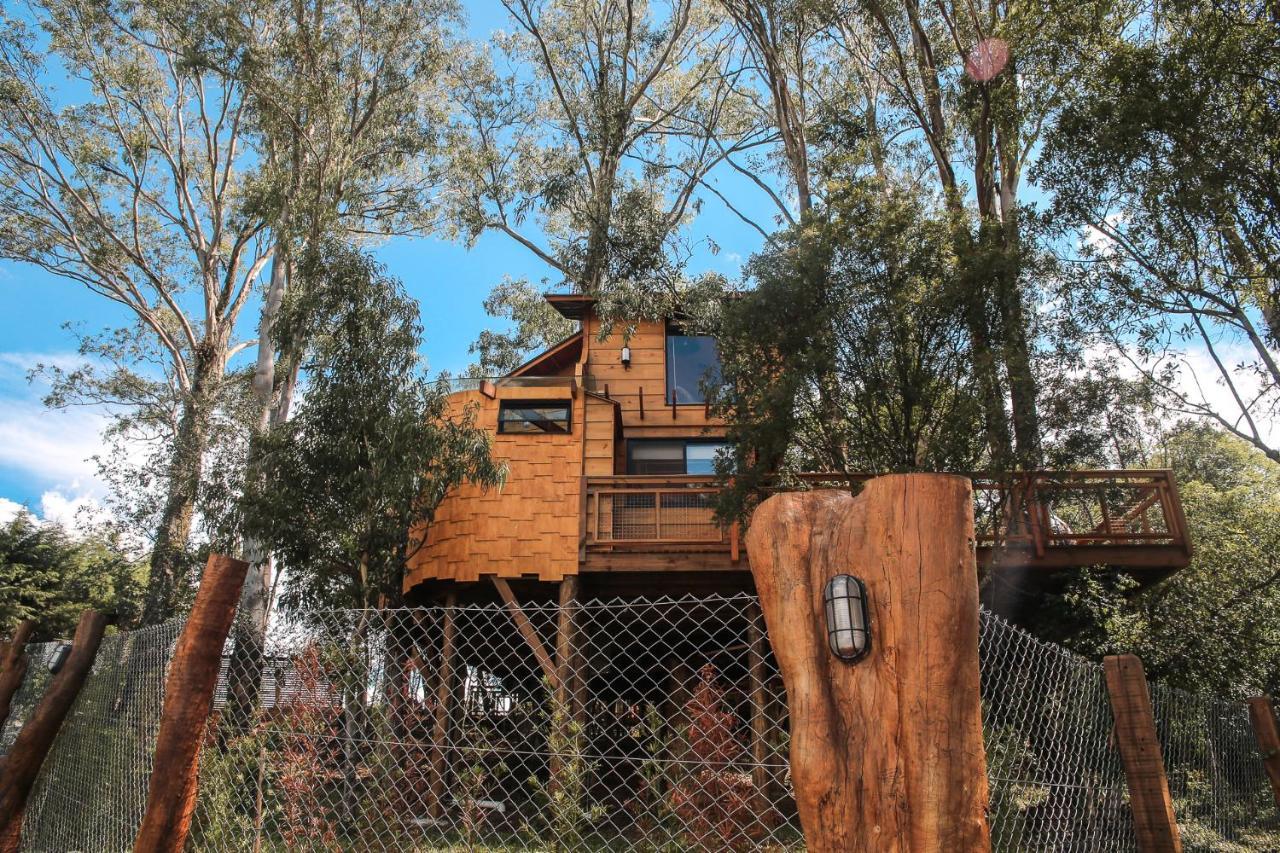 Casa na Árvore Morada dos Vagalumes Farroupilha Esterno foto