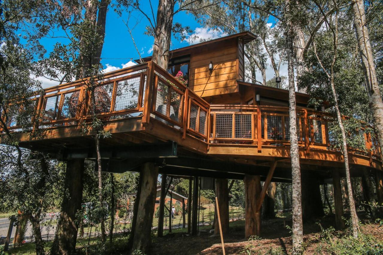 Casa na Árvore Morada dos Vagalumes Farroupilha Esterno foto